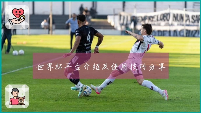 世界杯平台介绍及使用技巧分享