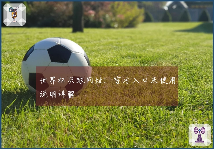 世界杯买球网址：官方入口及使用说明详解