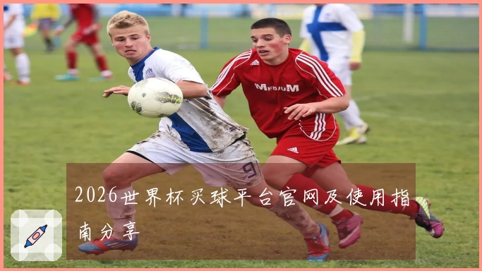 2026世界杯买球平台官网及使用指南分享