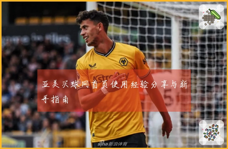 亚美买球网首页使用经验分享与新手指南