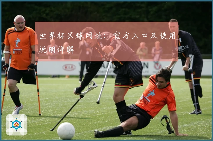 世界杯买球网址：官方入口及使用说明详解