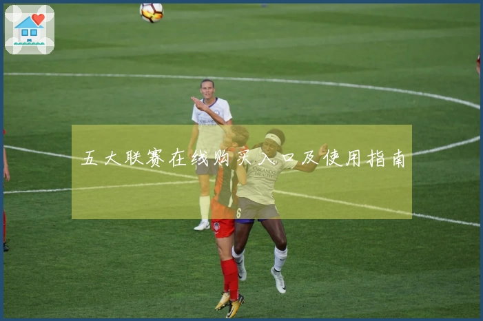 五大联赛在线购买入口及使用指南