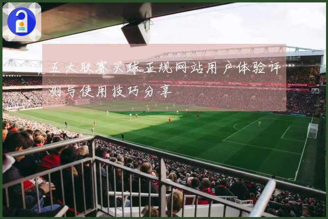 五大联赛买球正规网站用户体验评测与使用技巧分享