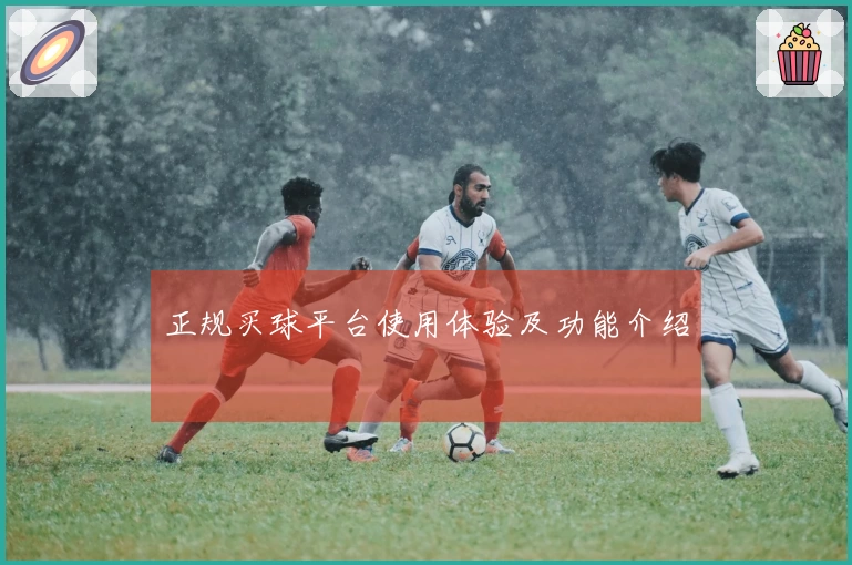 正规买球平台使用体验及功能介绍