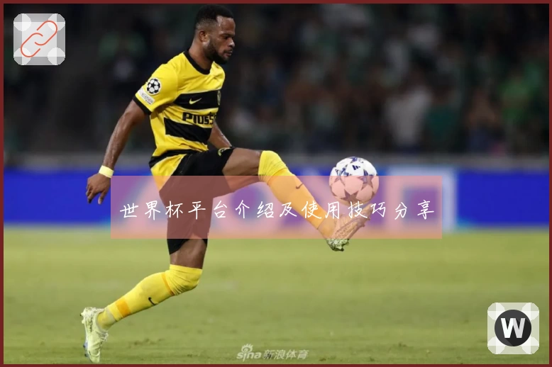 世界杯平台介绍及使用技巧分享